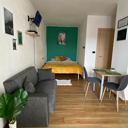 Green Studio Тимишоара Екстериор снимка