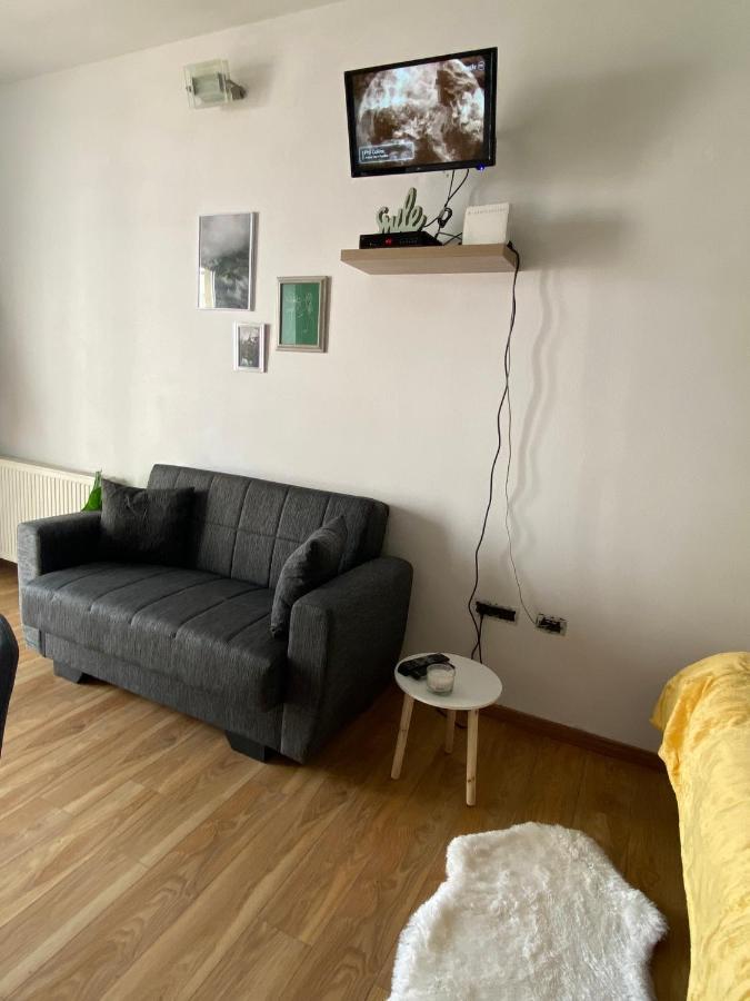 Green Studio Тимишоара Екстериор снимка