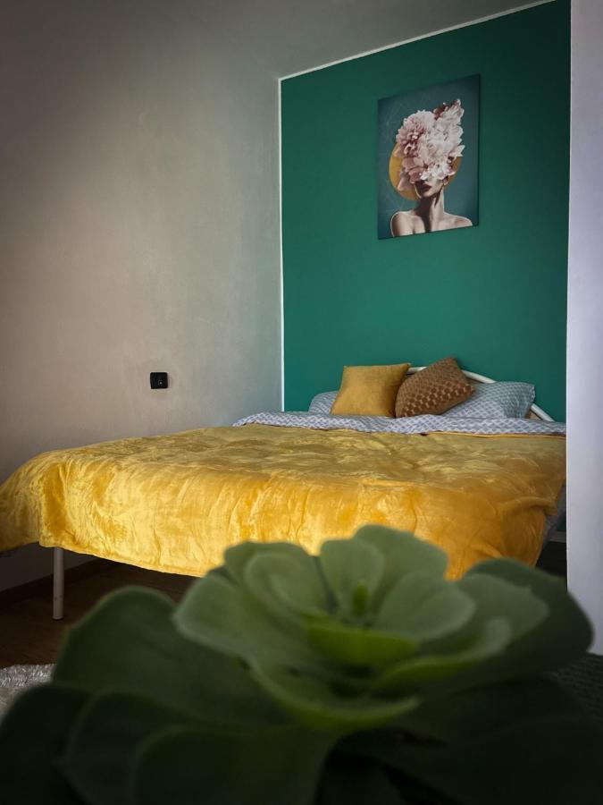 Green Studio Тимишоара Екстериор снимка